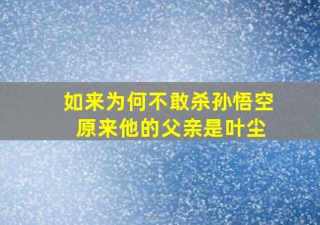 如来为何不敢杀孙悟空 原来他的父亲是叶尘